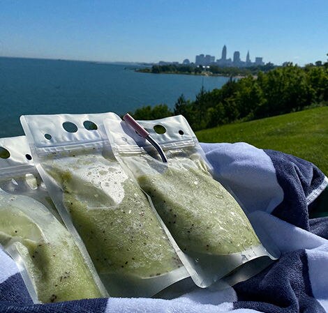 /content/vitamix/vr/en_us/recipes/kiwi-apple-coconut-slushy.html