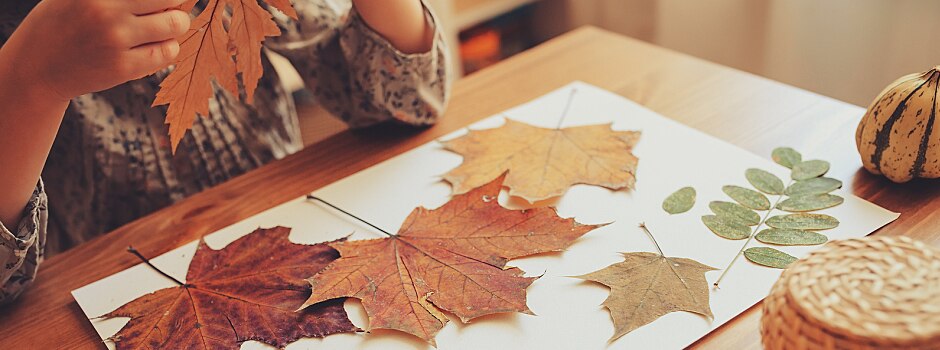 /content/vitamix/ca/en_us/articles/8-family-friendly-fall-diy-crafts.html