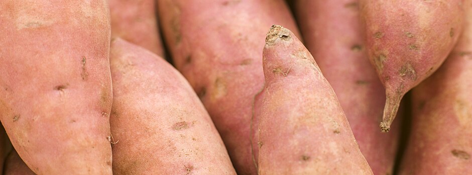 /content/vitamix/ca/en_us/articles/creative-sweet-potato-recipe-ideas.html