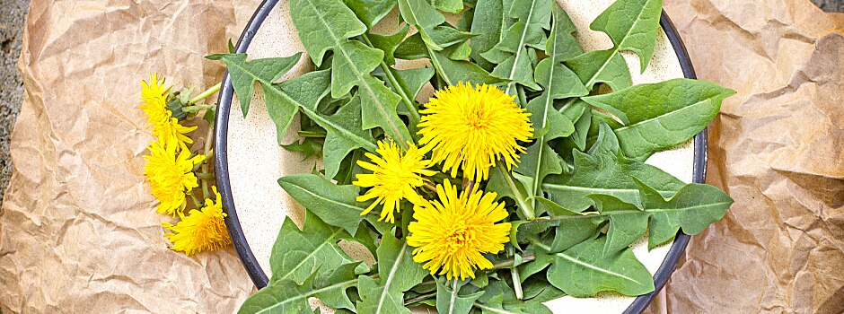 /content/vitamix/mx/en_us/articles/dandelion-greens-more-than-just-a-weed.html