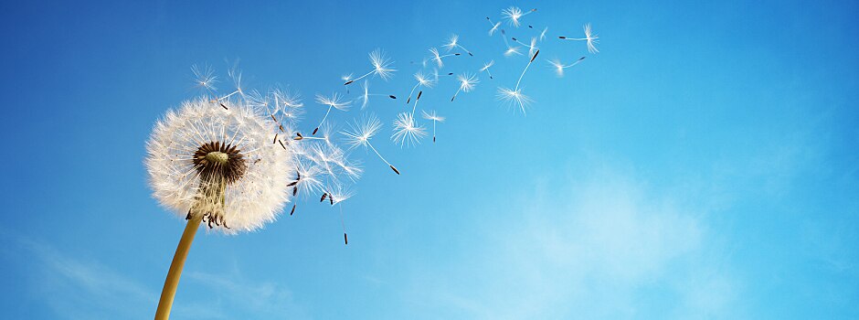 dealing-with-change-6-tips-to-help-you-through-a-life-changing-event-main.jpg	