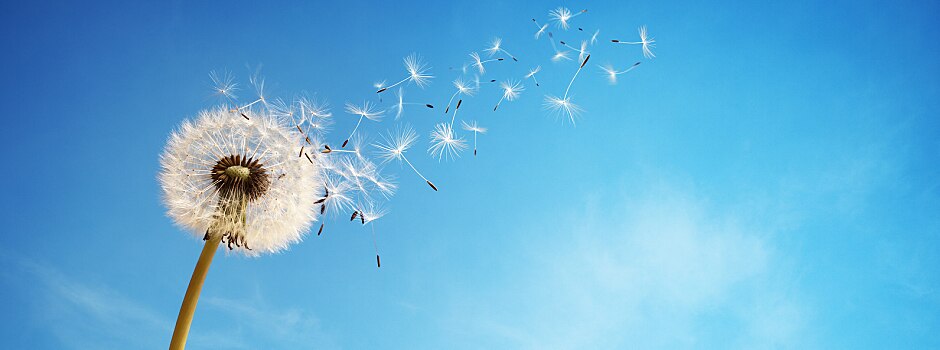/content/vitamix/us/en_us/articles/dealing-with-change-6-tips-to-help-you-through-a-life-changing-event.html