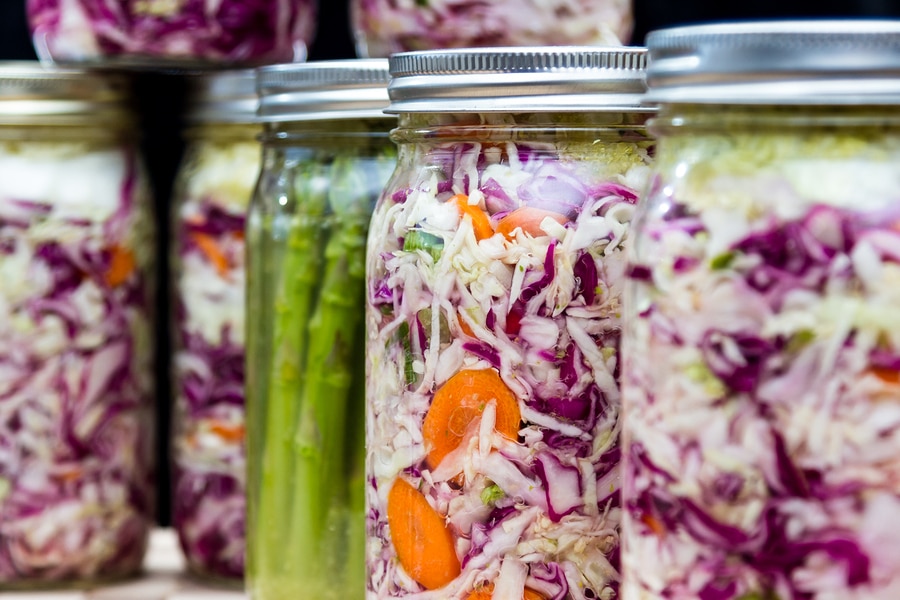 /content/vitamix/mx/en_us/articles/exploring-the-benefits-of-probiotics.html