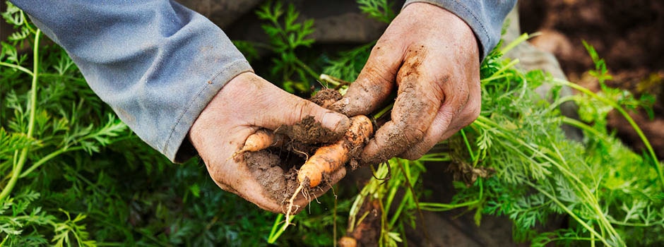 /content/vitamix/us/en_us/articles/the-rotten-side-of-food-waste.html