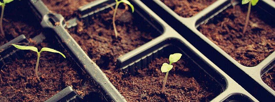 farming-in-shipping-containers-the-future-of-food-main.jpg	