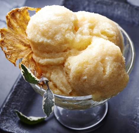 Tropical Yogurt Freeze Main