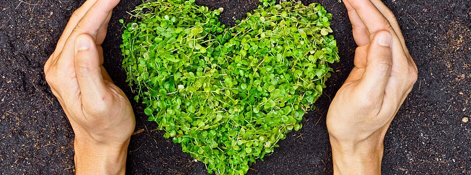 /content/vitamix/us/en_us/articles/how-sustainable-food-choices-can-make-a-difference.html