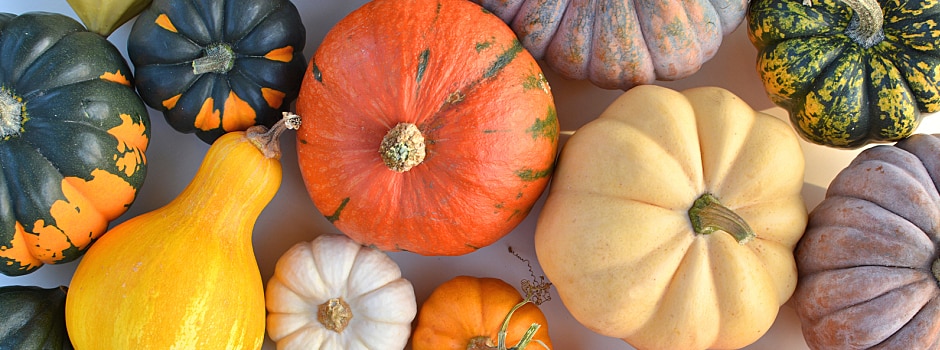 /content/vitamix/us/en_us/articles/how-to-make-the-most-of-the-fall-harvest.html