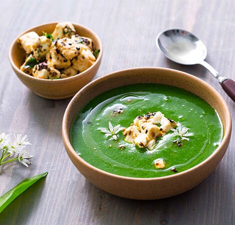 /content/vitamix/us/en_us/recipes/wild-garlic-new-potato-and-black-onion-seed-soup.html