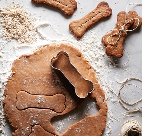 dog-biscuits