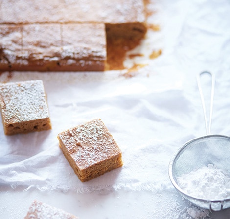 /content/vitamix/us/en_us/recipes/pumpkin-brownies.html