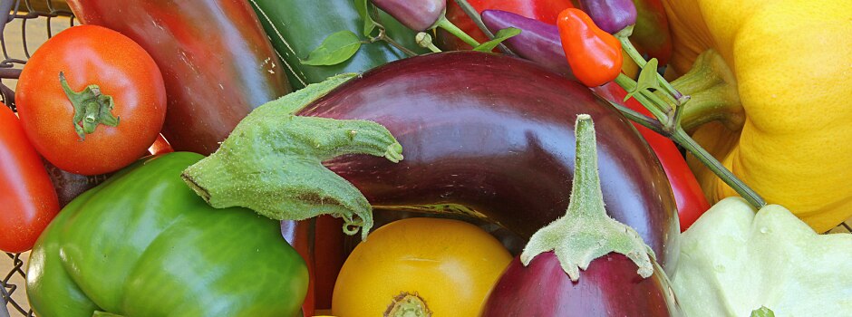 nightshade-vegetables-setting-the-record-straight-main.jpg	