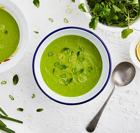 Spring Soup 470x449.jpg