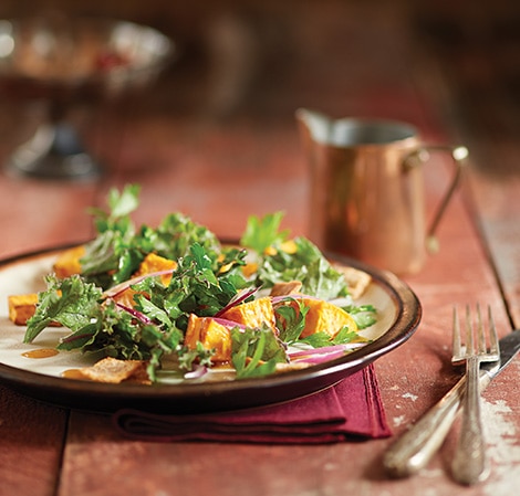 Autumn Toasted Pita and Kale Salad