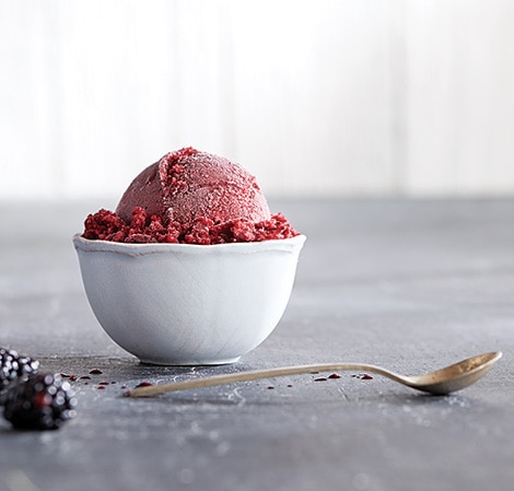 /content/vitamix/ca/fr_ca/recipes/berry-sorbet-with-mixed-spices.html