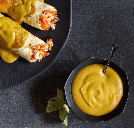/content/vitamix/us/en_us/recipes/tomatillo-sauce.html